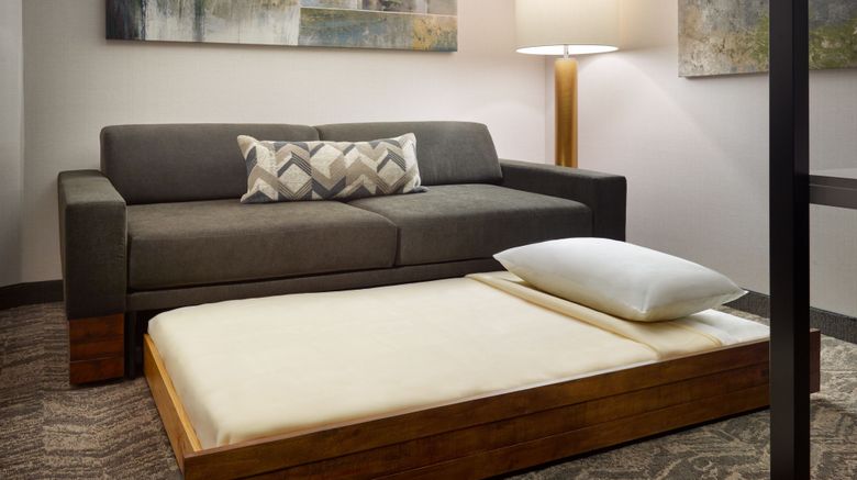 <b>SpringHill Suites Arlington TN Suite</b>. Images powered by <a href="https://www.leonardoworldwide.com/" title="Leonardo Worldwide" target="_blank">Leonardo</a>.