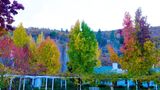 <b>Lithia Springs Inn Exterior</b>. Images powered by <a href="https://www.leonardoworldwide.com/" title="Leonardo Worldwide" target="_blank">Leonardo</a>.