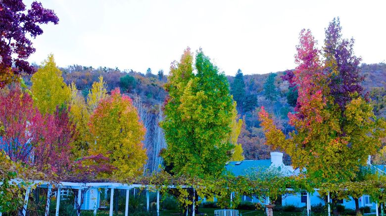 <b>Lithia Springs Inn Exterior</b>. Images powered by <a href="https://www.leonardoworldwide.com/" title="Leonardo Worldwide" target="_blank">Leonardo</a>.