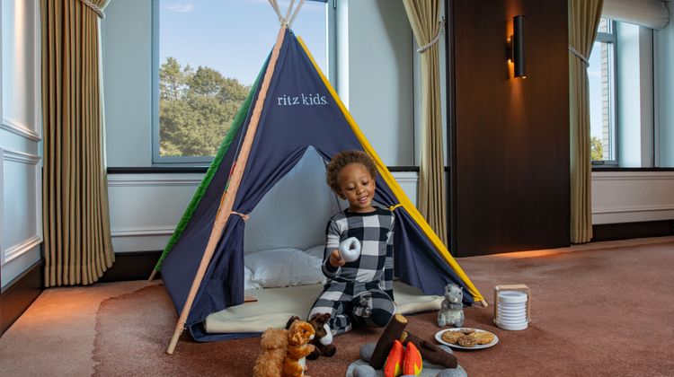 The Ritz-Carlton New York, Central Park Other