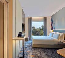 Holiday Inn Express Room