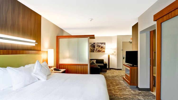 SpringHill Suites Columbia Suite
