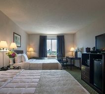Meadowlands Plaza Hotel Room