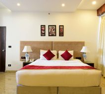 Park Regis Goa Room
