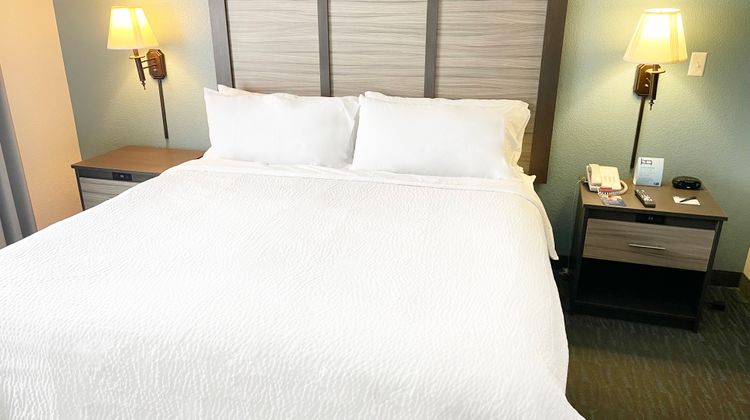 Holiday Inn Express & Suites Clermont SE Room