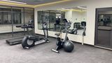 <b>Holiday Inn Navojoa Health Club</b>. Images powered by <a href="https://www.leonardoworldwide.com/" title="Leonardo Worldwide" target="_blank">Leonardo</a>.