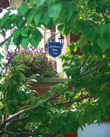 ByWard Blue Inn