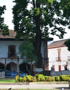 Hotel Mansion Iturbe
