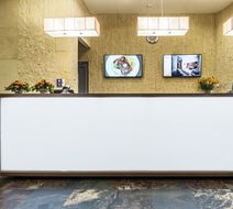 Hotel Victor Pruszkow by DeSilva Lobby