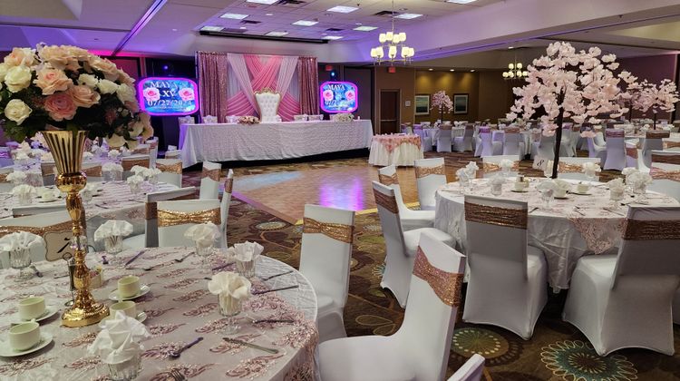 Holiday Inn Bolingbrook Ballroom