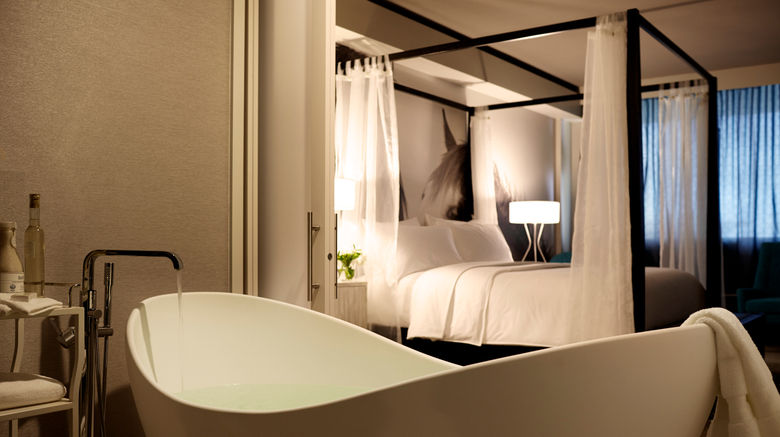 <b>Archer Hotel Austin Room</b>. Images powered by <a href="https://www.leonardoworldwide.com/" title="Leonardo Worldwide" target="_blank">Leonardo</a>.