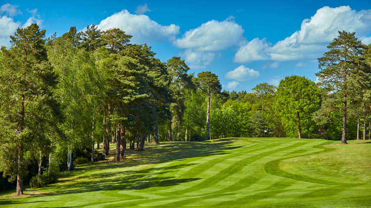 Foxhills Country Club Golf