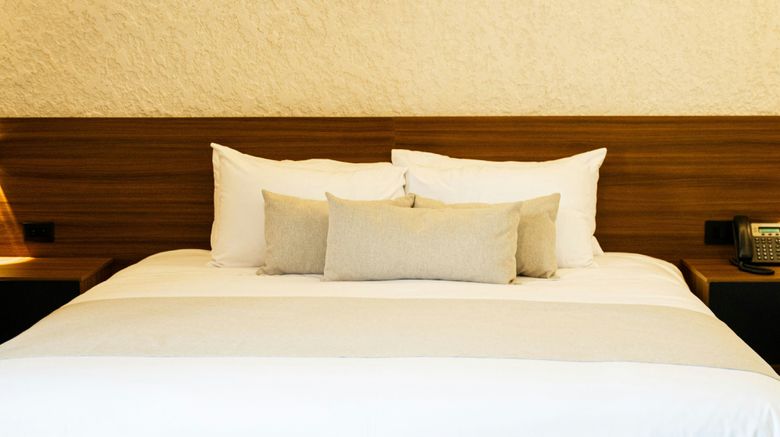 <b>City Centro San Salvador Room</b>. Images powered by <a href="https://www.leonardoworldwide.com/" title="Leonardo Worldwide" target="_blank">Leonardo</a>.