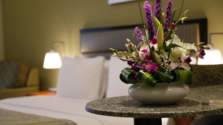 <b>Savoy Park Hotel Apartments Room</b>. Images powered by <a href="https://www.leonardoworldwide.com/" title="Leonardo Worldwide" target="_blank">Leonardo</a>.