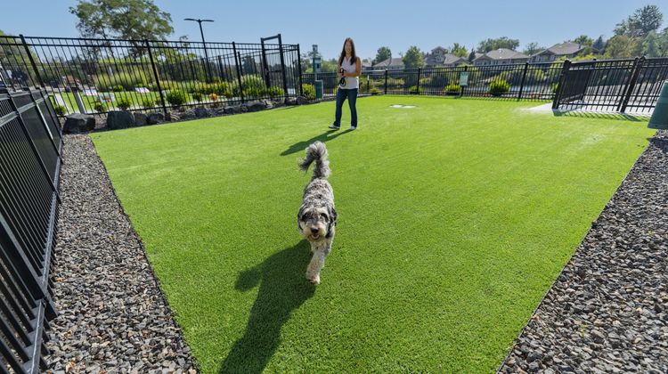 Ruby River Hotel Other