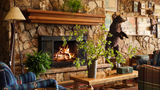 Field & Stream Lodge Lobby