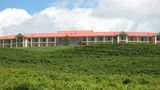 Turners Vineyard Other