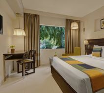 The Fern Residency Vadodara Room