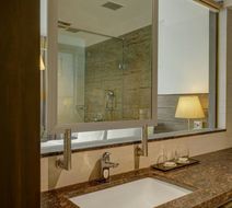 The Fern Residency Vadodara Room