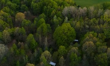 Postcard Cabins Barber Creek, Outdoor
