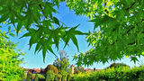 Le Vieux Logis Pool