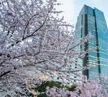 The Ritz-Carlton, Tokyo Exterior