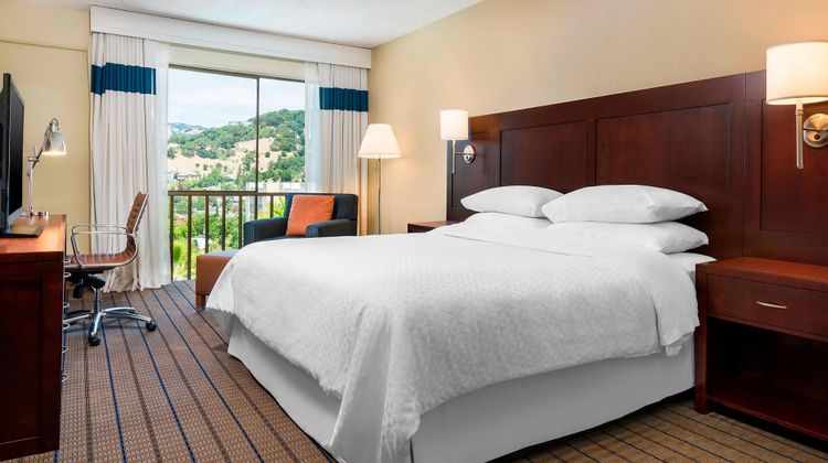 Marin Hilltop Hotel Room