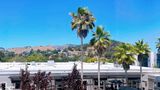 Marin Hilltop Hotel Room