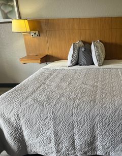 Red Roof Inn San Antonio – South Park