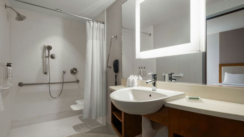 <b>SpringHill Suites Voorhees Mt Laurel Room</b>. Images powered by <a href="https://www.leonardoworldwide.com/" title="Leonardo Worldwide" target="_blank">Leonardo</a>.
