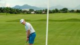 Royal Palm Golf