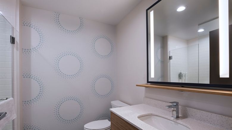 <b>Tru by Hilton Irving DFW Room</b>. Images powered by <a href="https://www.leonardoworldwide.com/" title="Leonardo Worldwide" target="_blank">Leonardo</a>.