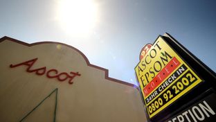 Ascot Epsom Motel