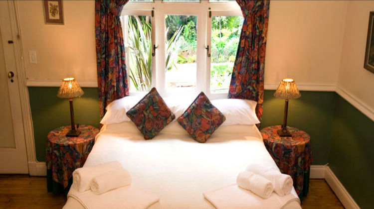 Murray Street 137 Guesthouse Room