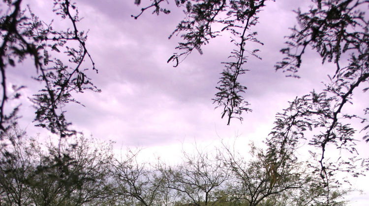 Canyon Ranch Health and Wellness Resort Recreation