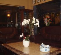 Hotell Maritim Lobby
