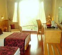 Jaypee Siddharth Room