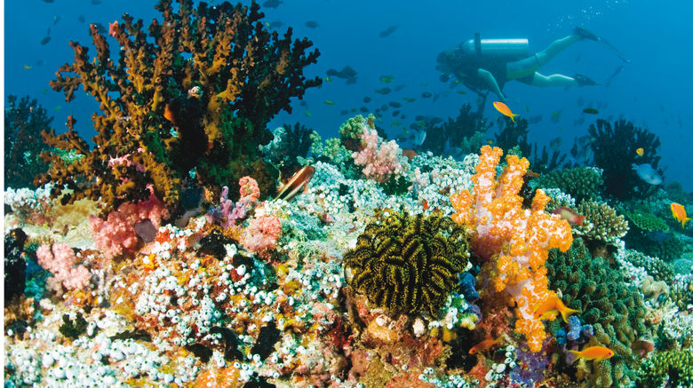 <b>Baros Maldives Recreation</b>. Images powered by <a href=https://www.travelagewest.com/Hotels/Male-Maldives/