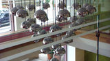 <b>Novus City Hotel Lobby</b>. Images powered by <a href="https://www.leonardoworldwide.com/" title="Leonardo Worldwide" target="_blank">Leonardo</a>.