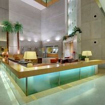 Pride Plaza Hotel Ahmedabad