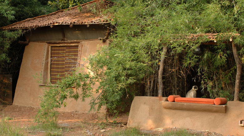 <b>Mahua Kothi, A Taj Safari-Bandhavgarh Exterior</b>. Images powered by <a href="https://www.leonardoworldwide.com/" title="Leonardo Worldwide" target="_blank">Leonardo</a>.