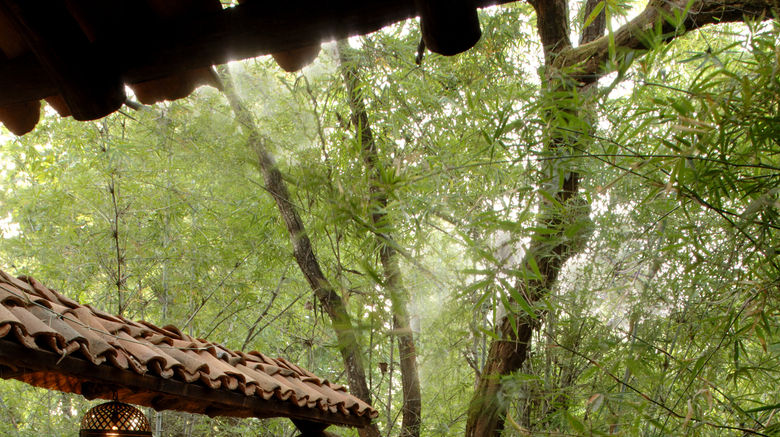 <b>Mahua Kothi, A Taj Safari-Bandhavgarh Suite</b>. Images powered by <a href="https://www.leonardoworldwide.com/" title="Leonardo Worldwide" target="_blank">Leonardo</a>.
