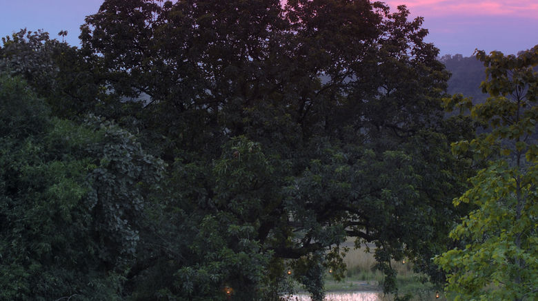 <b>Mahua Kothi, A Taj Safari-Bandhavgarh Restaurant</b>. Images powered by <a href="https://www.leonardoworldwide.com/" title="Leonardo Worldwide" target="_blank">Leonardo</a>.