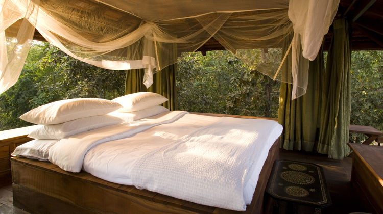 Baghvan Resort Room
