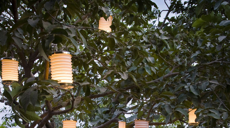 Pashan Garh Restaurant