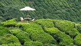 Cameron Highlands Resort Recreation