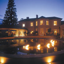 The Vineyard