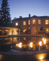 The Vineyard
