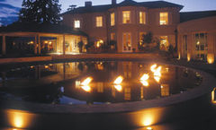 The Vineyard