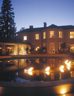 The Vineyard